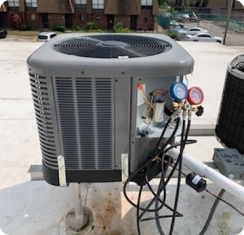 Service Image
