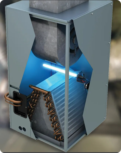 Service Image